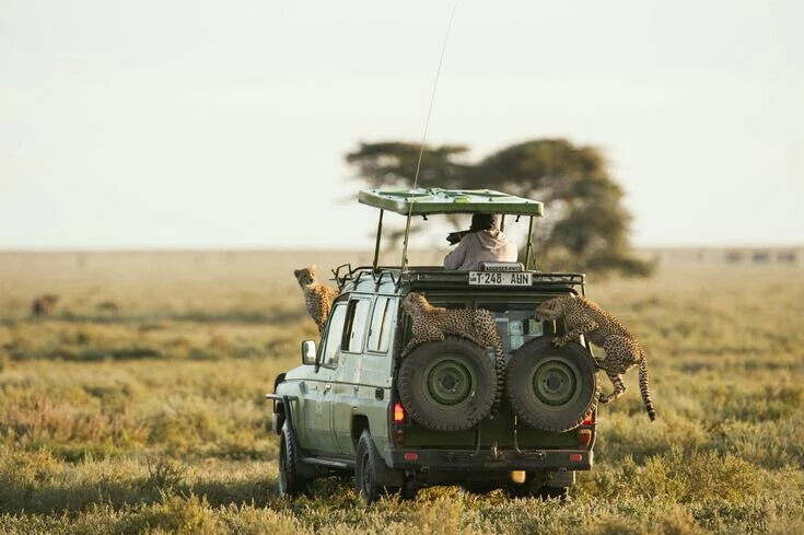 best local tour operator