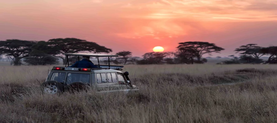 4 Days Serengeti Migration Safari | Generous African Tours