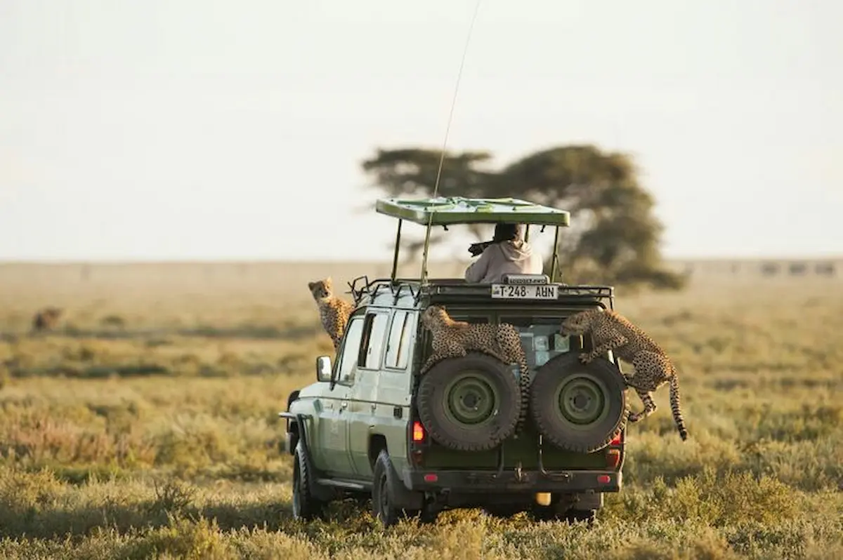 Private 4x4 airport transfer vehicle in Tanzania