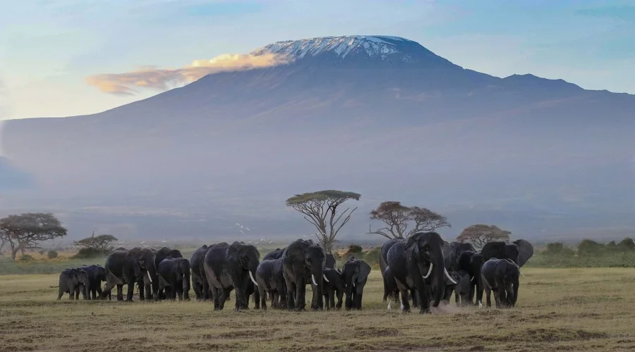 The Best Time to Visit Tanzania: A Season-by-Season Guide.