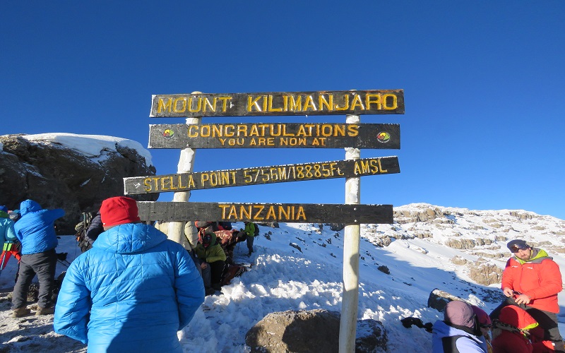 1 Day Tanzania Safari