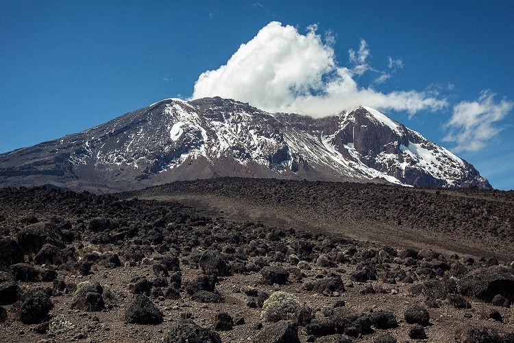 Kilimanjaro 6 Days